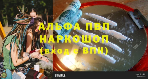 стафф Алексин