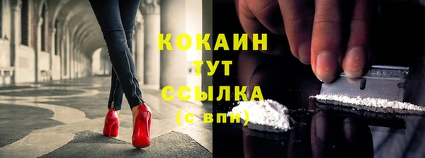 стафф Алексин