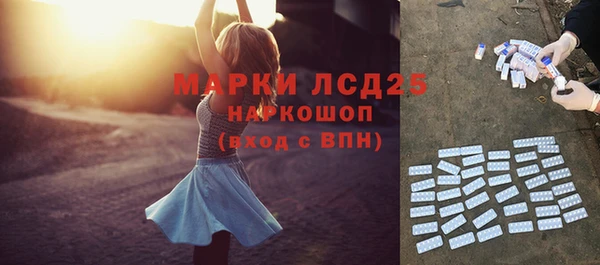 стафф Алексин