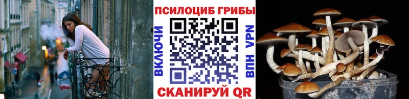 Галлюциногенные грибы GOLDEN TEACHER  закладка  Октябрьск 
